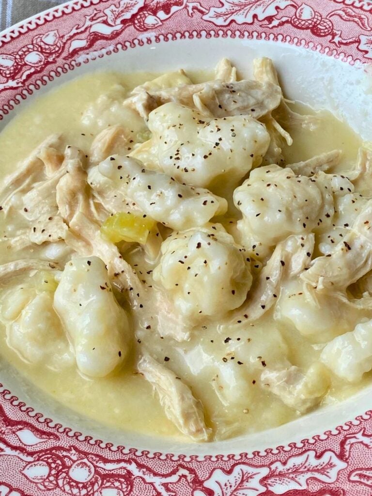 Bowl of chicken and drop dumplings