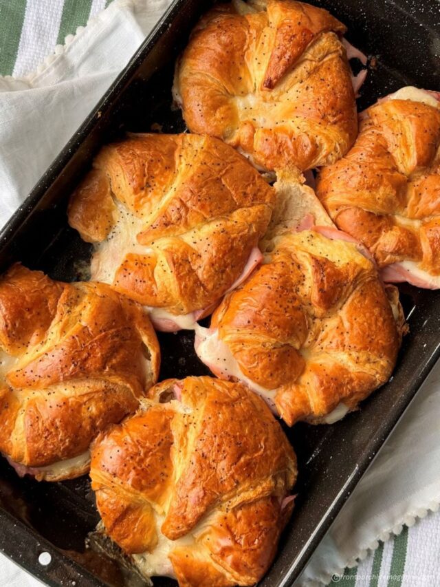 20 Leftover Ham Recipes You’ll Want to Make Again and Again - The ...